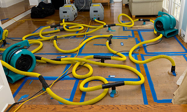 Professional Water Damage Restoration technician working in Beersheba Springs, TN